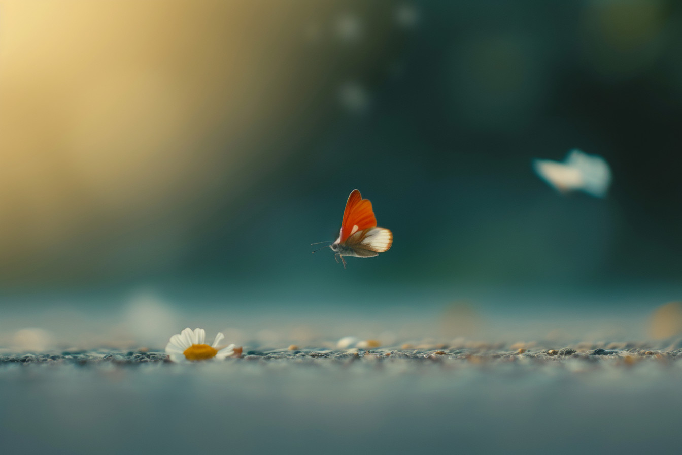 Minimalist Hobbies: Simple Pleasures for a Joyful Life